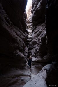 The dark depths of Ladder Canyon